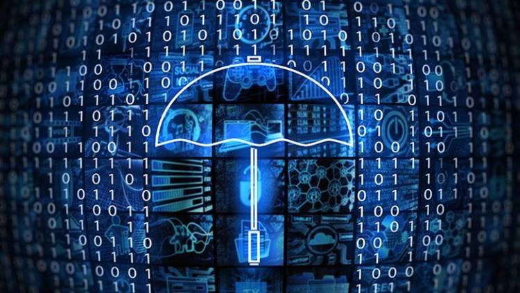 Factors to Determine The Cyber Insurance Level