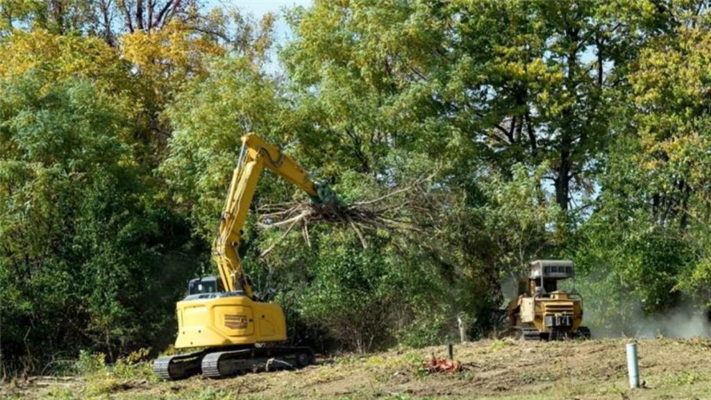 Tips for Running a Land-Clearing Company