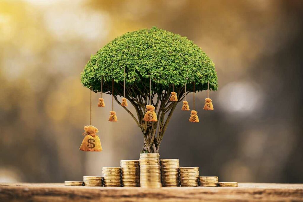 Understanding Abundance in Financial Life
